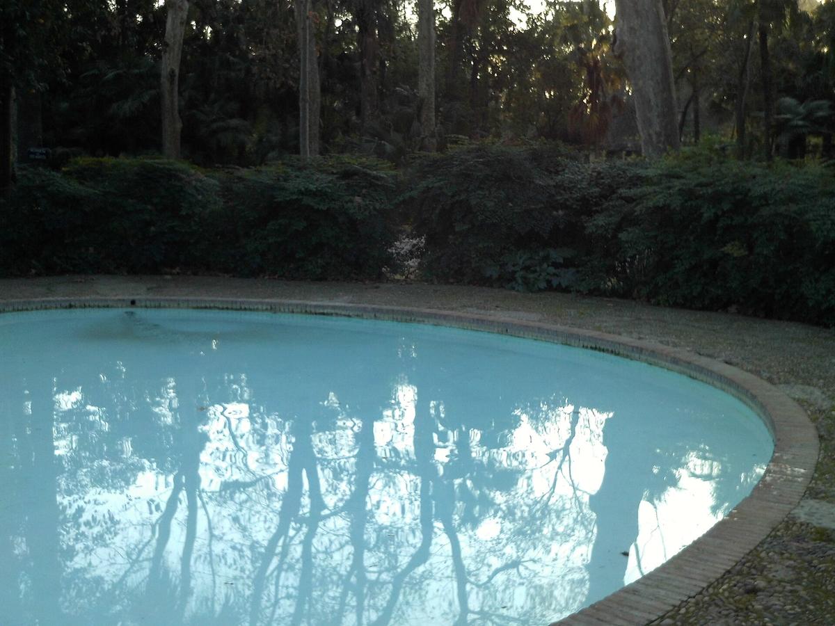Parque de María Luisa estanque